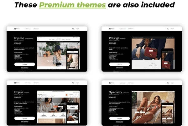 shopify theme